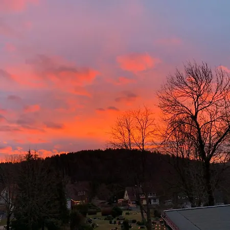 Apartment Harzstübl25 *