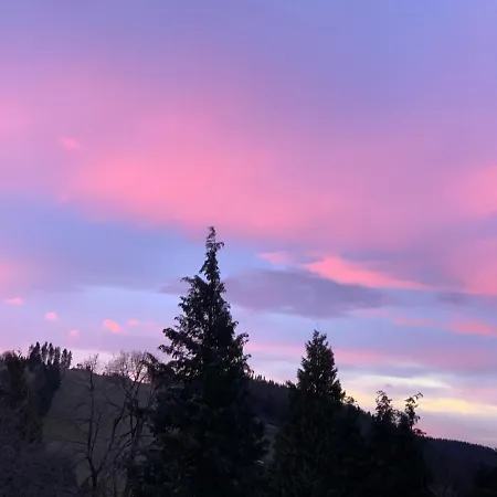 Apartment Harzstübl25 *