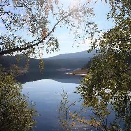 Apartment Harzstübl25 *