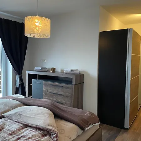 Harzstübl25 Apartment Sankt Andreasberg